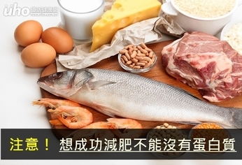 注意!想成功減肥不能沒有蛋白質