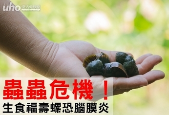 蟲蟲危機!生食福壽螺恐腦膜炎