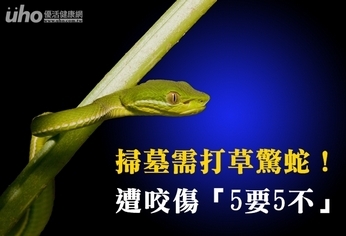 掃墓需打草驚蛇!遭咬傷「5要5不」
