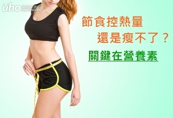 節食控熱量還是瘦不了?關鍵在營養素