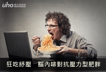 狂吃紓壓 腦內啡對抗壓力型肥胖