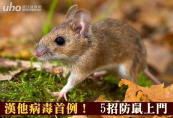 漢他病毒首例!5招防鼠上門