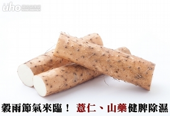穀雨節氣來臨!薏仁、山藥健脾除濕