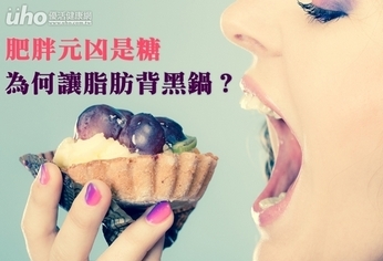 肥胖元凶是糖 為何讓脂肪背黑鍋?