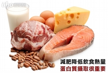 減肥降低飲食熱量 蛋白質攝取很重要