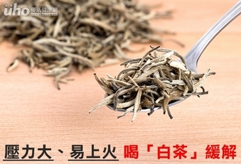 壓力大、易上火 喝「白茶」緩解