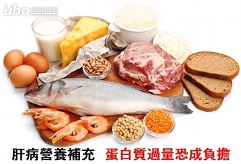 肝病營養補充 蛋白質過量恐成負擔