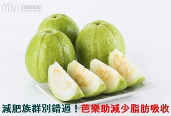 減肥族群別錯過!芭樂助減少脂肪吸收