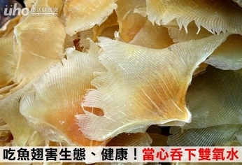 吃魚翅害生態、健康!當心吞下雙氧水