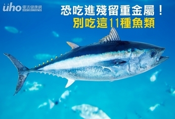 恐吃進殘留重金屬!別吃這11種魚類
