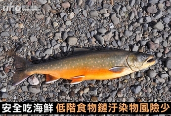 安全吃海鮮 低階食物鏈汙染物風險少