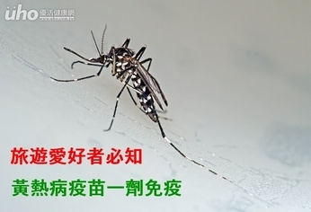 旅遊愛好者必知 黃熱病疫苗一劑免疫