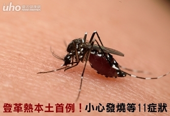 登革熱本土首例!小心發燒等11症狀
