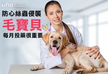 防心絲蟲侵襲毛寶貝 每月投藥很重要