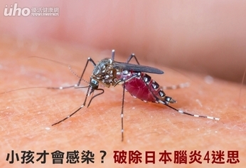 小孩才會感染?破除日本腦炎4迷思
