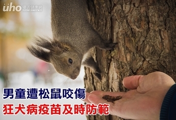 男童遭松鼠咬傷 狂犬病疫苗及時防範