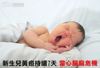 新生兒黃疸持續7天 當心腦麻危機
