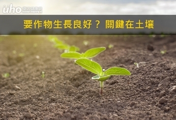 要作物生長良好?關鍵在土壤