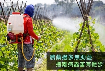 農藥過多無助益 遠離病蟲害有撇步