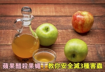 蘋果醋殺果蠅!教你安全滅3種害蟲