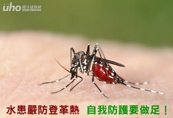 水患嚴防登革熱 自我防護要做足!