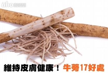 維持皮膚健康!牛蒡17好處