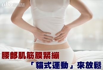 腰部肌筋膜緊繃 「貓式運動」來放鬆