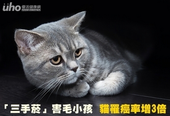 「三手菸」害毛小孩 貓罹癌率增3倍