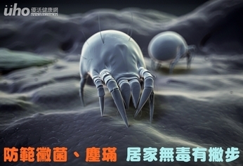 防範黴菌、塵蟎 居家無毒有撇步