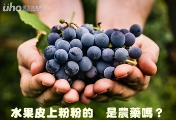 水果皮上粉粉的 是農藥嗎?
