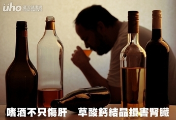 嗜酒不只傷肝 草酸鈣結晶損害腎臟