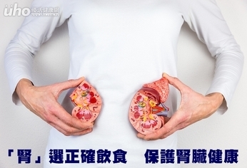 「腎」選正確飲食 保護腎臟健康