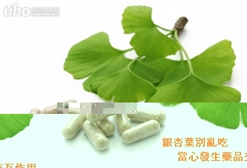 銀杏葉別亂吃　當心發生藥品交互作用