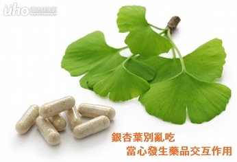 銀杏葉別亂吃 當心發生藥品交互作用