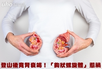 登山後竟腎衰竭!「鉤狀螺旋體」惹禍