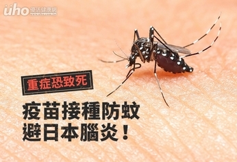 疫苗接種防蚊避日本腦炎!重症恐致死