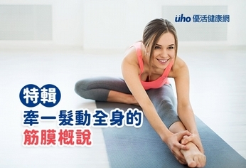 特輯:牽一髮動全身的筋膜概說