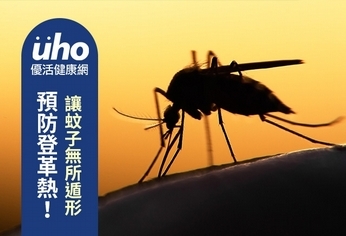 預防登革熱!讓蚊子無所遁形