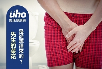 先生的菜花 是從哪裡來的?