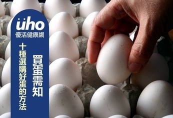 買蛋需知:十種選購好蛋的方法!