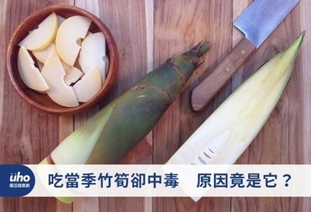 吃當季竹筍卻中毒 原因竟是它?