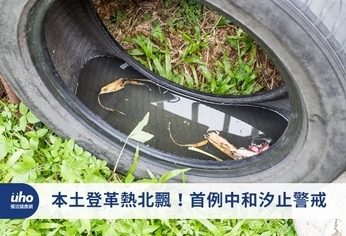 本土登革熱北飄!首例中和汐止警戒