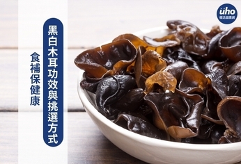食補保健康 黑白木耳功效與挑選方式