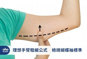 理想手臂粗細公式 檢視蝴蝶袖標準