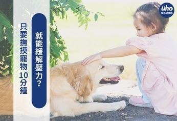 只要撫摸寵物10分鐘 就能緩解壓力?