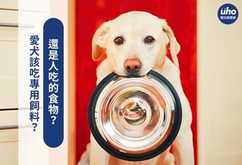 愛犬該吃專用飼料?還是人吃的食物?