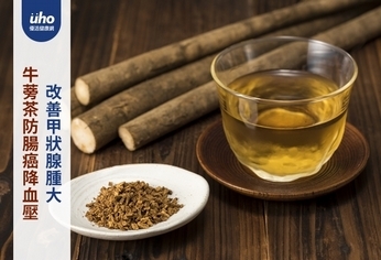 牛蒡茶防腸癌降血壓 改善甲狀腺腫大