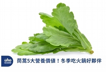 茼蒿5大營養價值!冬季吃火鍋好夥伴