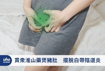 貫眾淮山藥煲豬肚 擺脫白帶陰道炎