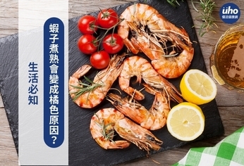 生活必知 蝦子煮熟會變成橘色原因?